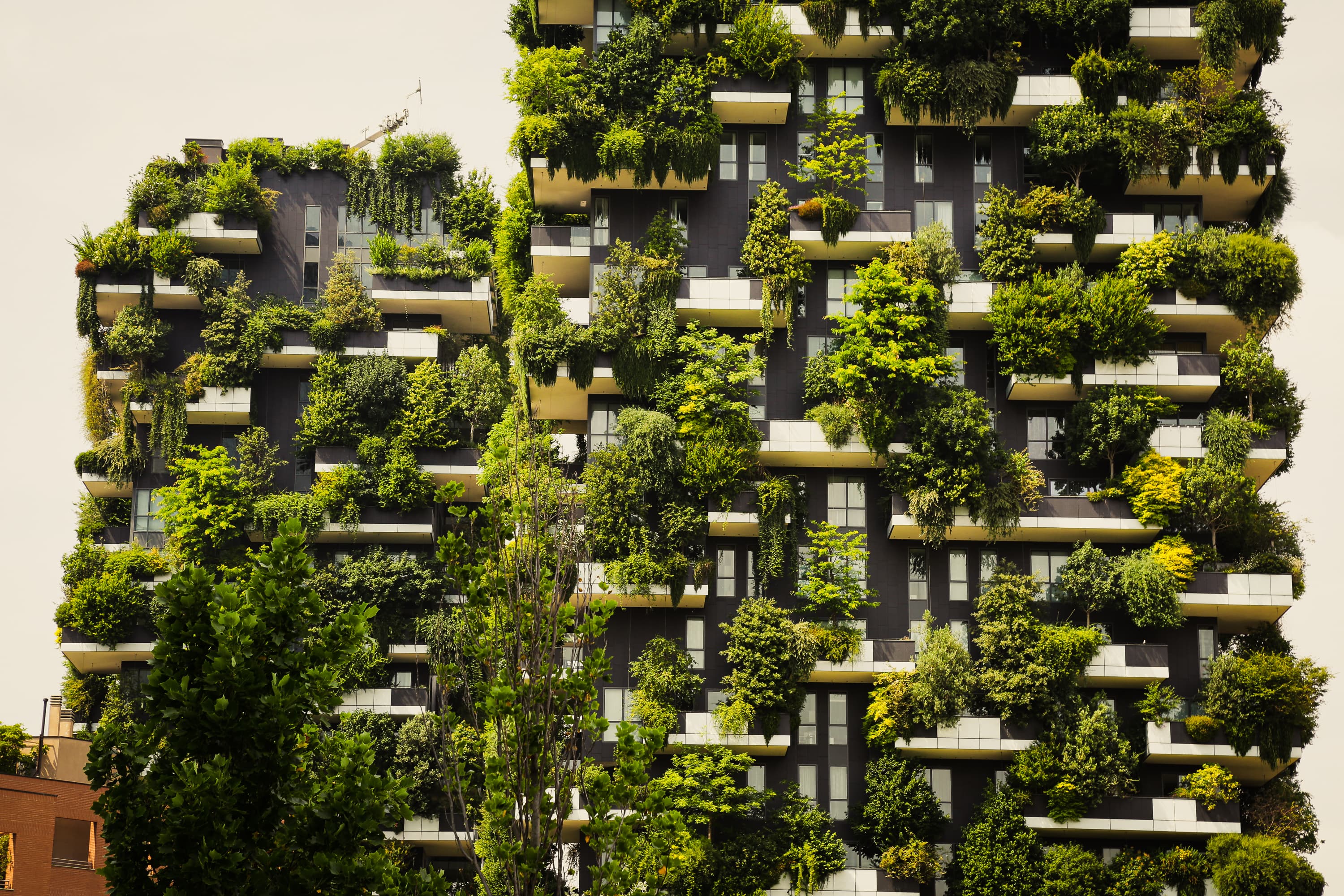 The Growing Relevance of Green Homes: A Timely Necessity in Today's World